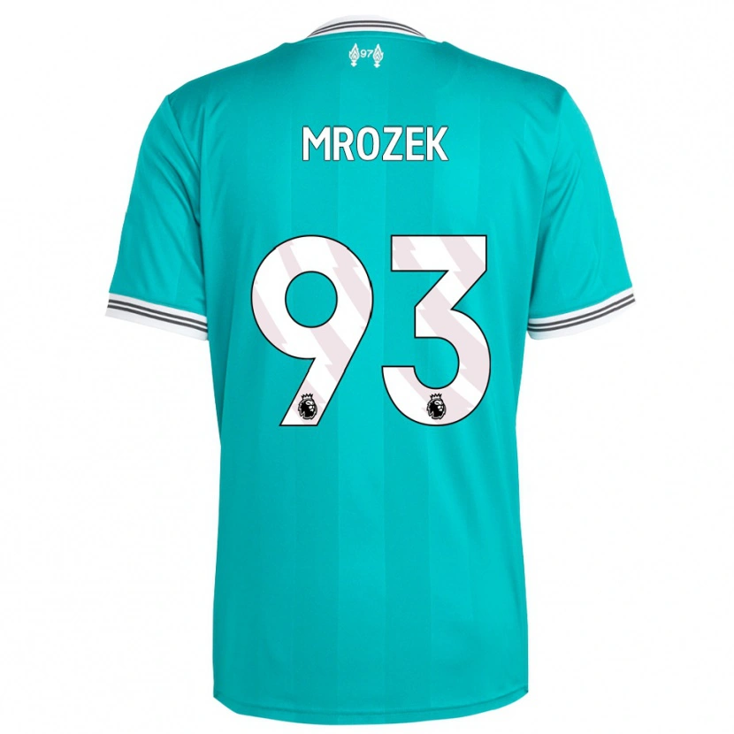 Danxen Män Fabian Mrozek #93 Grön Vit Tredjesatsen Matchtröjor 2025/26 Tröjor T-Tröja