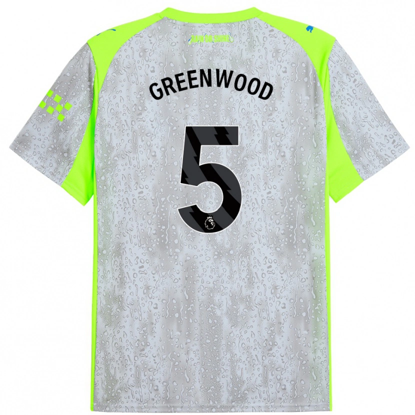 Danxen Män Alex Greenwood #5 Grå Gul Tredjesatsen Matchtröjor 2025/26 Tröjor T-Tröja