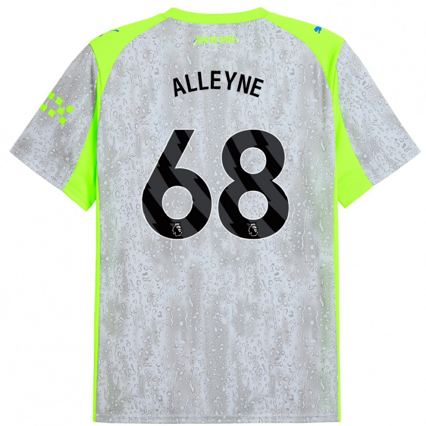 Danxen Män Max Alleyne #68 Grå Gul Tredjesatsen Matchtröjor 2025/26 Tröjor T-Tröja
