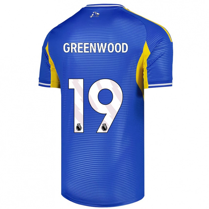 Danxen Kvinnor Sam Greenwood #19 Blå Gul Bortatröja Matchtröjor 2025/26 Tröjor T-Tröja