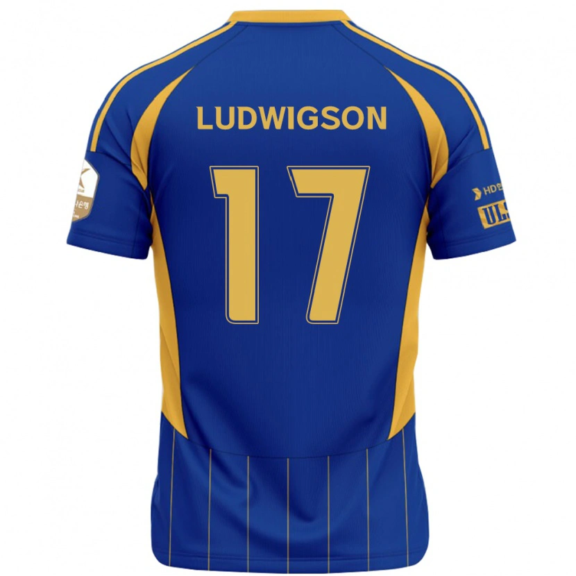 Danxen Män Gustav Ludwigson #17 Kungsblå Gul Hemmatröja Matchtröjor 2025/26 Tröjor T-Tröja