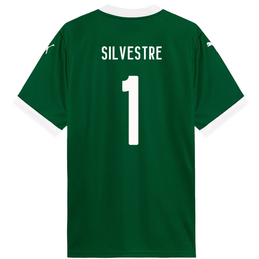 Danxen Kvinnor Vinicius Silvestre #1 Grön Vit Hemmatröja Matchtröjor 2025/26 Tröjor T-Tröja