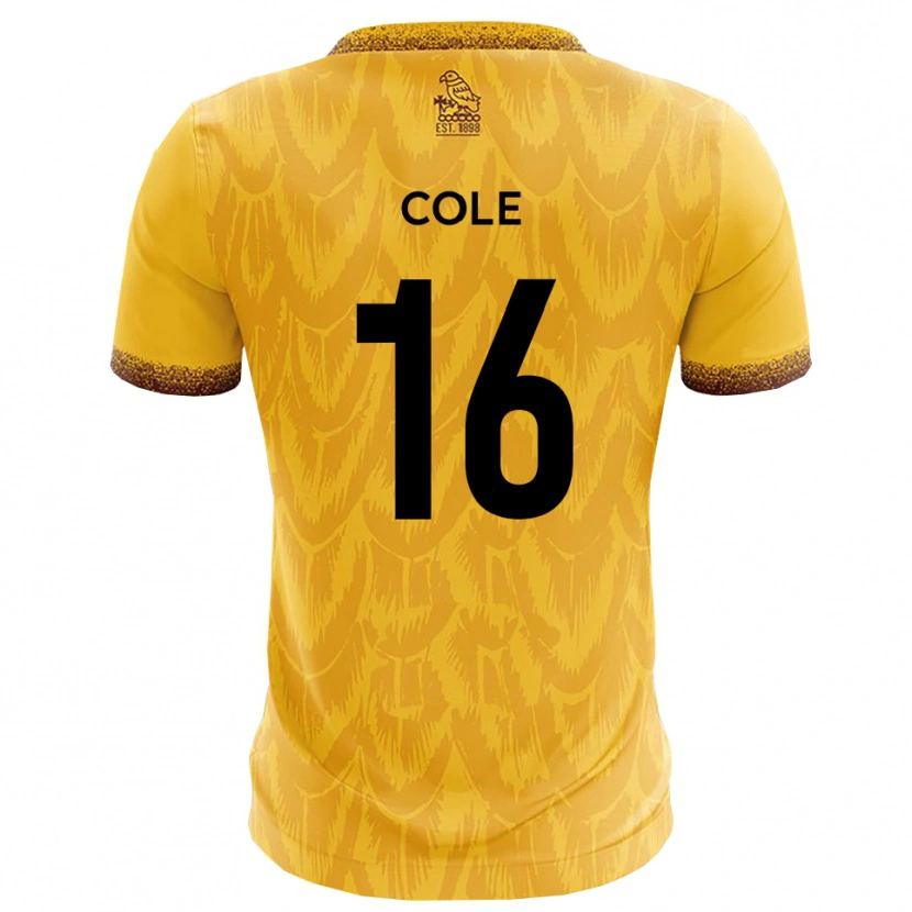 Danxen Barn Harry Cole #16 Gult Brunt Hemmatröja Matchtröjor 2025/26 Tröjor T-Tröja