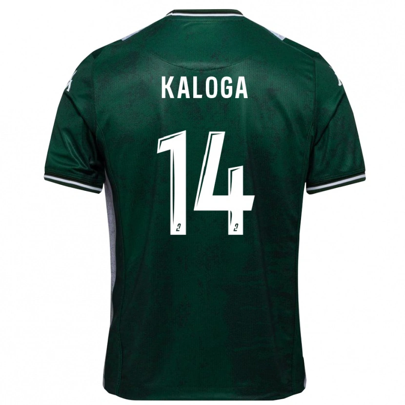 Danxen Kvinnor Amallah Kaloga #14 Grön Vit Hemmatröja Matchtröjor 2025/26 Tröjor T-Tröja