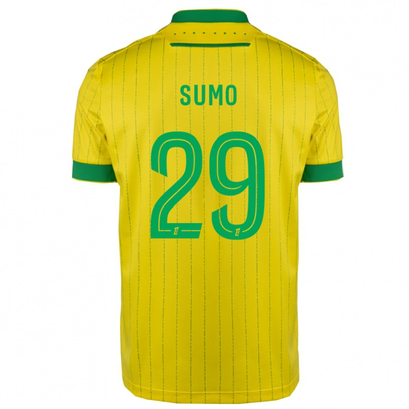 Danxen Kvinnor Eva Sumo #29 Gul Grön Hemmatröja Matchtröjor 2025/26 Tröjor T-Tröja