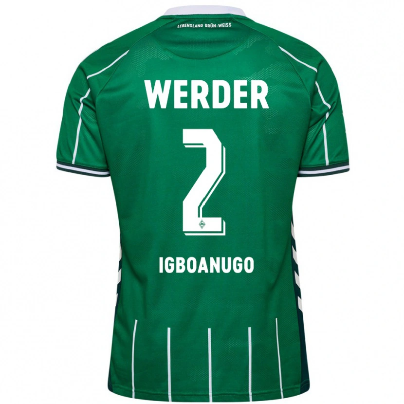 Danxen Män David Igboanugo #2 Grön Vit Hemmatröja Matchtröjor 2025/26 Tröjor T-Tröja