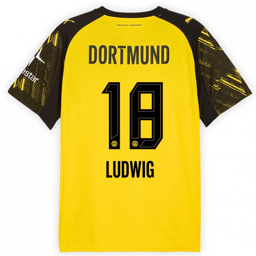 Danxen Män Michel Ludwig #18 Gul Svart Hemmatröja Matchtröjor 2025/26 Tröjor T-Tröja