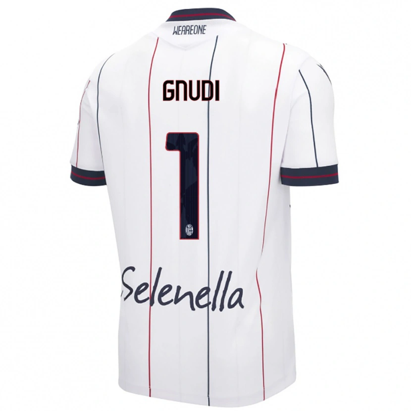 Danxen Män Riccardo Gnudi #1 Vit Kungsblå Bortatröja Matchtröjor 2025/26 Tröjor T-Tröja