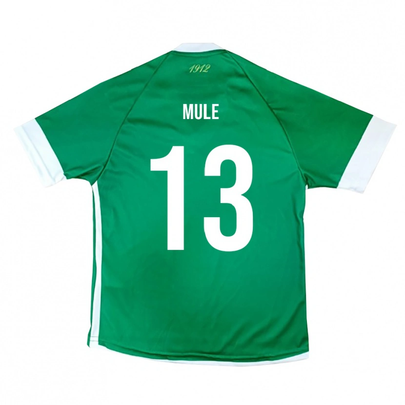 Danxen Män Erasmo Mulè #13 Grön Vit Hemmatröja Matchtröjor 2025/26 Tröjor T-Tröja