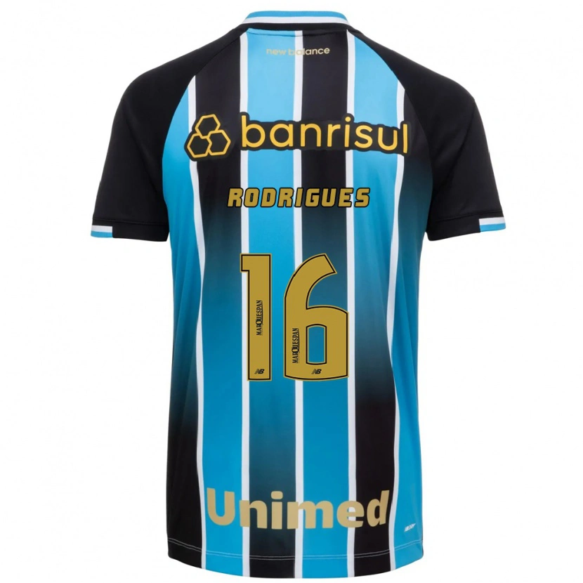 Danxen Män Fernanda Garay Rodrigues #16 Blå Brun Svart Hemmatröja Matchtröjor 2026/27 Tröjor T-Tröja