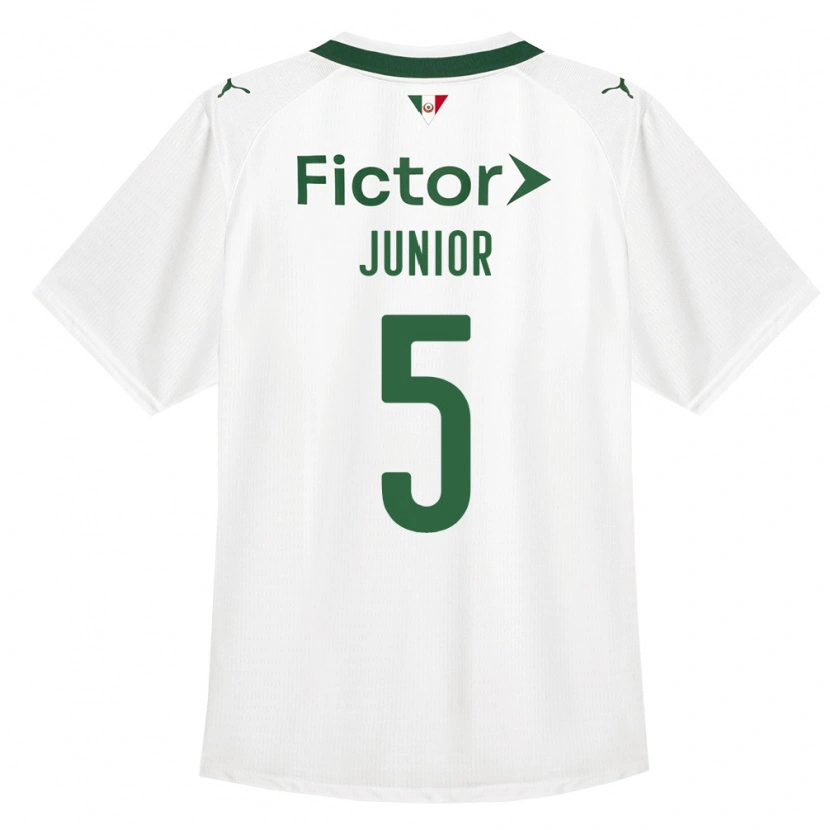 Danxen Kvinnor Amilton Junior #5 Grön Vit Bortatröja Matchtröjor 2026/27 Tröjor T-Tröja