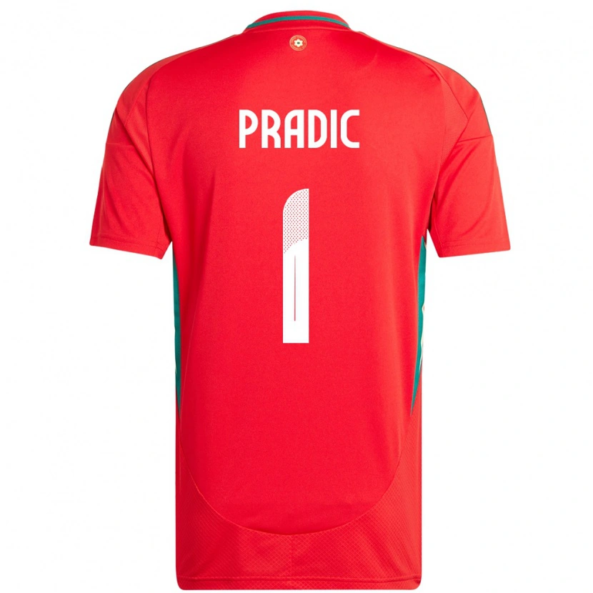 Danxen Män Wales James Pradic #1 Röd Hemmatröja Matchtröjor 24-26 Tröjor T-Tröja