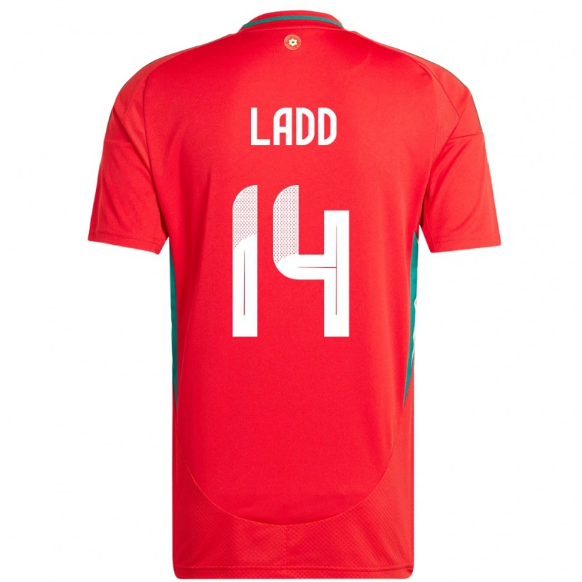 Danxen Män Wales Hayley Ladd #14 Röd Hemmatröja Matchtröjor 24-26 Tröjor T-Tröja