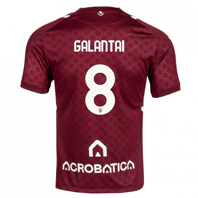 Danxen Män Tamás Galántai #8 Burgundy Vit Hemmatröja Matchtröjor 2026/27 Tröjor T-Tröja