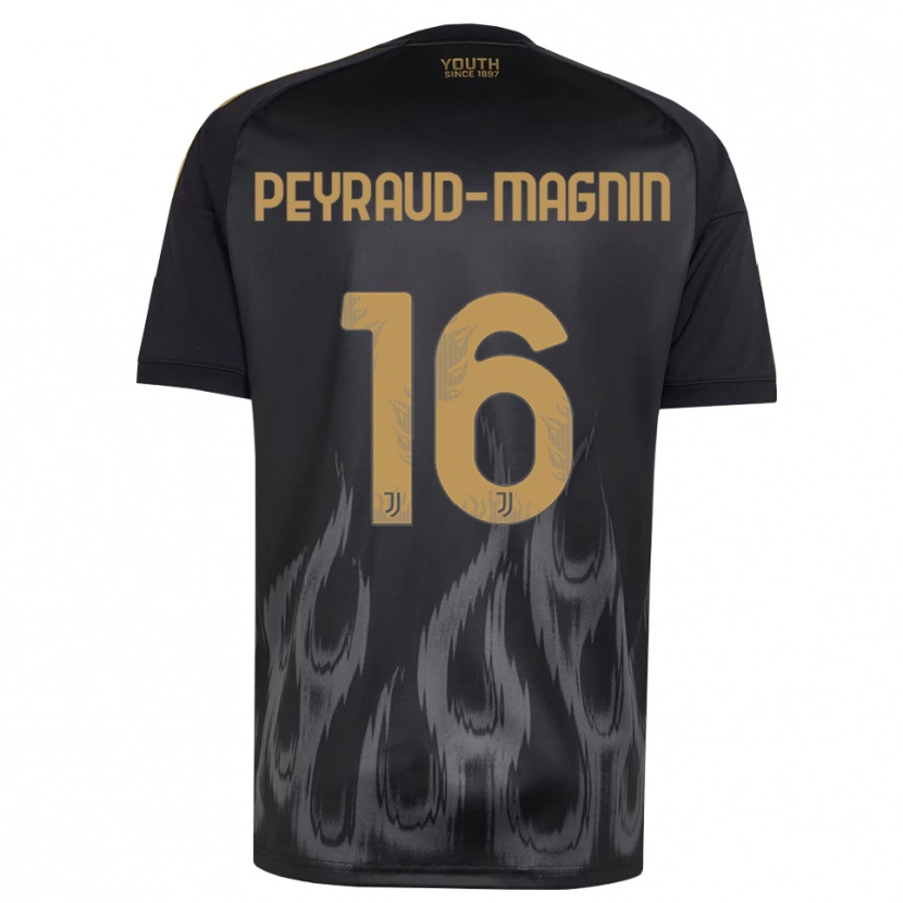 Danxen Män Pauline Peyraud-Magnin #16 Svart Brun Tredjesatsen Matchtröjor 2026/27 Tröjor T-Tröja