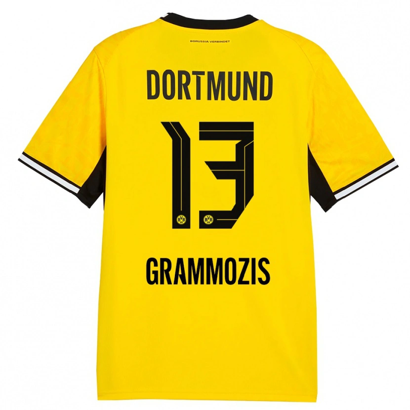 Danxen Kvinnor Athanasios Grammozis #13 Gul Svart Vit Hemmatröja Matchtröjor 2026/27 Tröjor T-Tröja