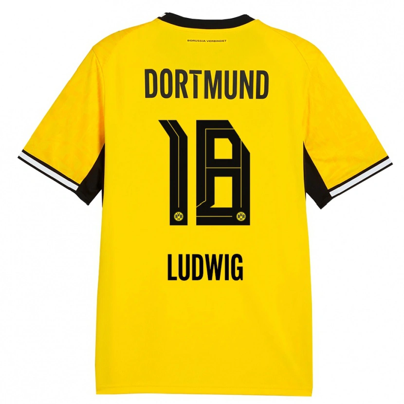 Danxen Kvinnor Michel Ludwig #18 Gul Svart Vit Hemmatröja Matchtröjor 2026/27 Tröjor T-Tröja