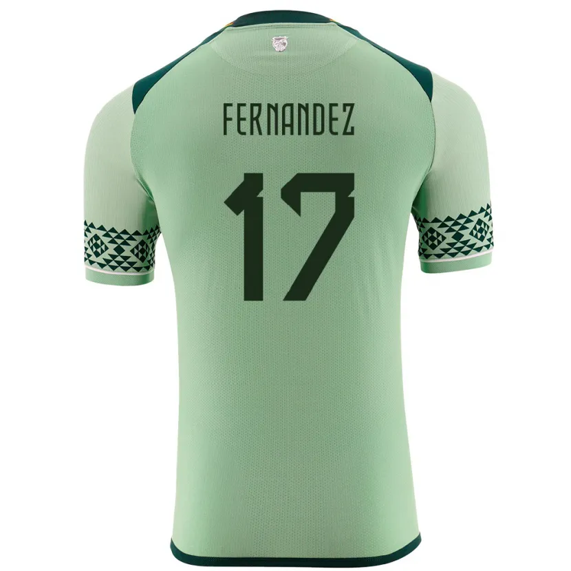 Danxen Män Bolivia Roberto Fernández #17 Ljusgrön Hemmatröja Matchtröjor 24-26 Tröjor T-Tröja