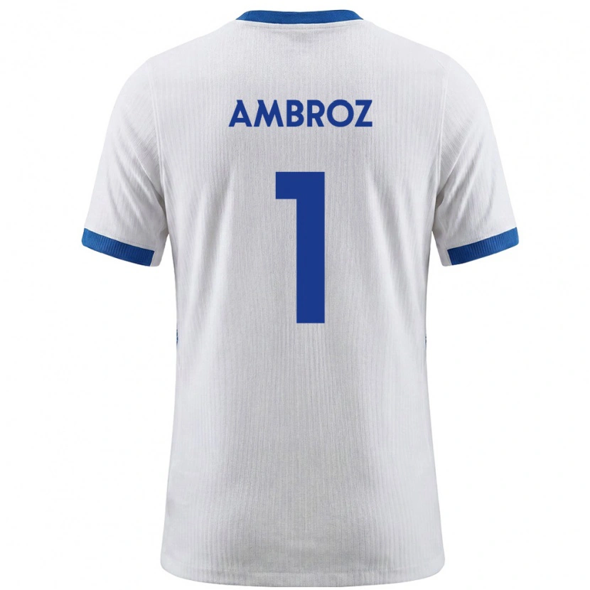 Danxen Barn Slovenien Lan Ambroz #1 Vit Blå Hemmatröja Matchtröjor 26-28 Tröjor T-Tröja