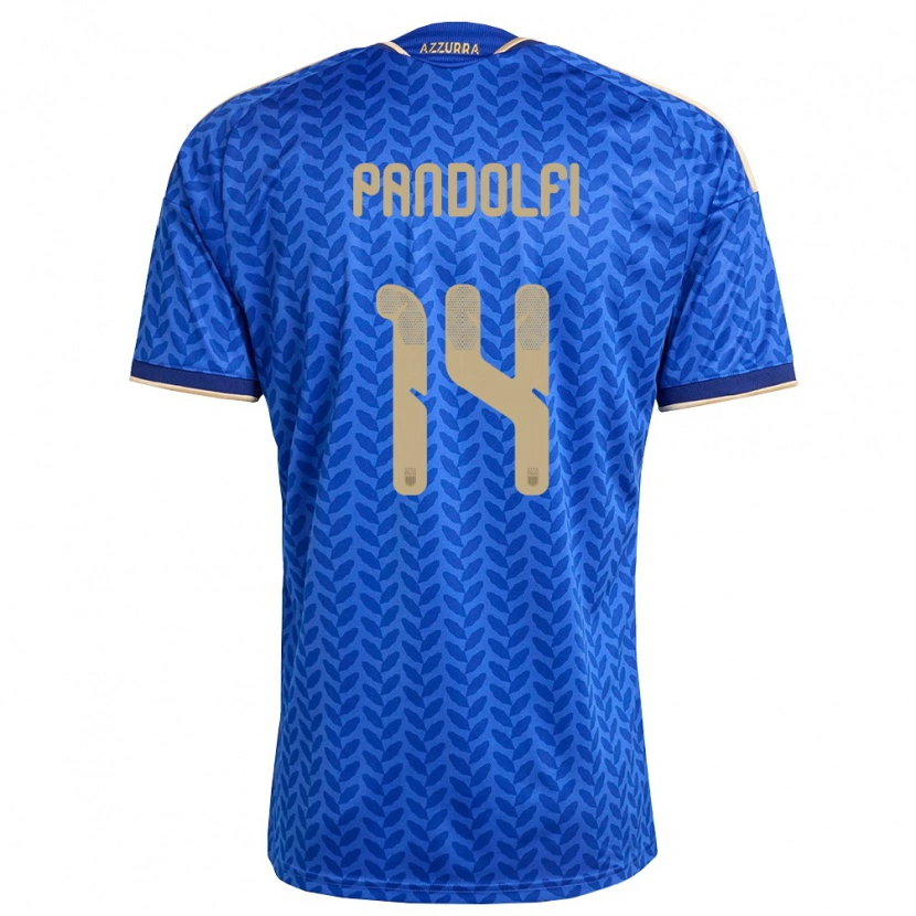 Danxen Barn Italien Fabio Pandolfi #14 Blå Marin Guld Hemmatröja Matchtröjor 26-28 Tröjor T-Tröja