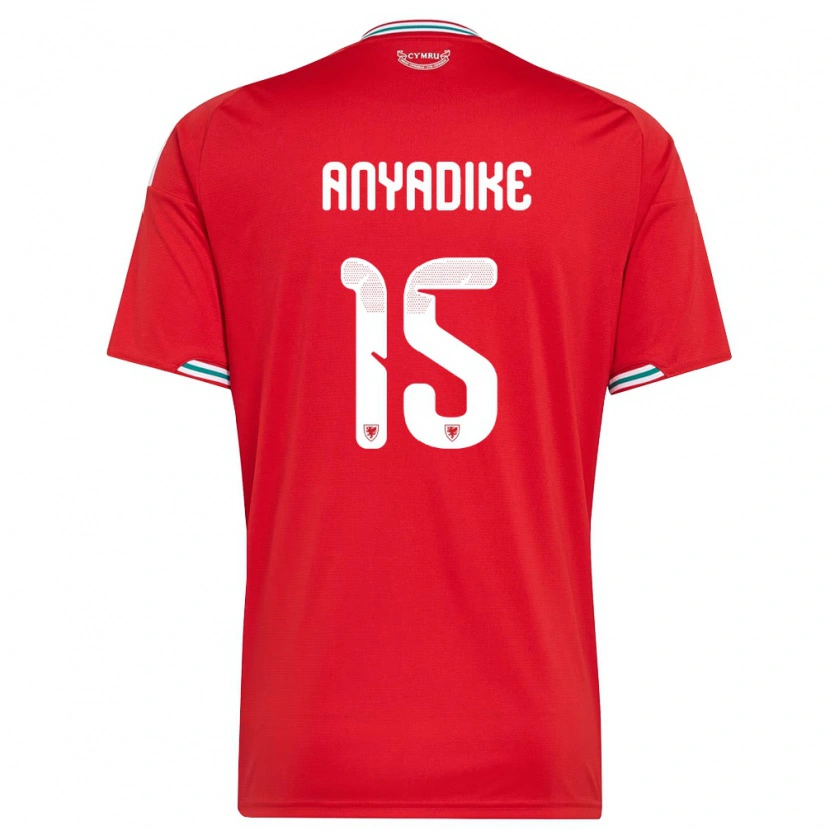 Danxen Män Wales Noah Anyadike #15 Röd Vit Grön Hemmatröja Matchtröjor 26-28 Tröjor T-Tröja