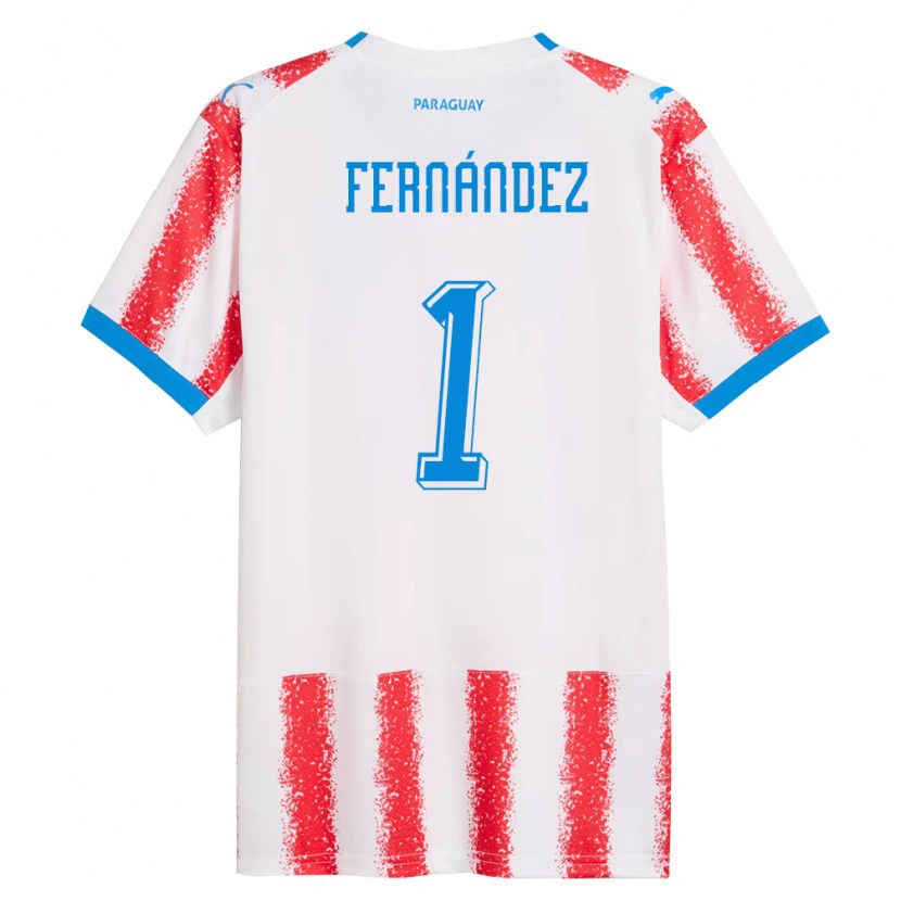 Danxen Barn Paraguay Matías Fernández #1 Vit Röd Blå Hemmatröja Matchtröjor 26-28 Tröjor T-Tröja