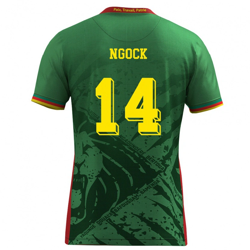 Danxen Män Kamerun Monique Ngock #14 Grön Gul Röd Hemmatröja Matchtröjor 26-28 Tröjor T-Tröja