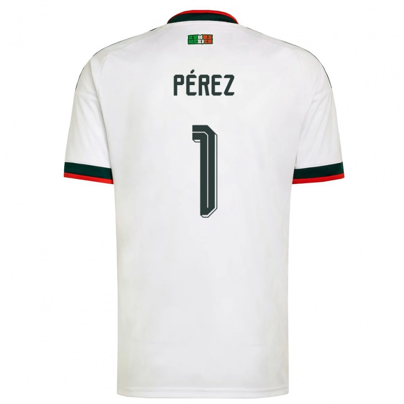 Danxen Män Mexiko Emiliano Perez #1 Vit Burgund Grön Bortatröja Matchtröjor 26-28 Tröjor T-Tröja