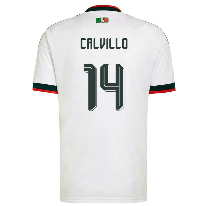 Danxen Män Mexiko Carlos Calvillo #14 Vit Burgund Grön Bortatröja Matchtröjor 26-28 Tröjor T-Tröja