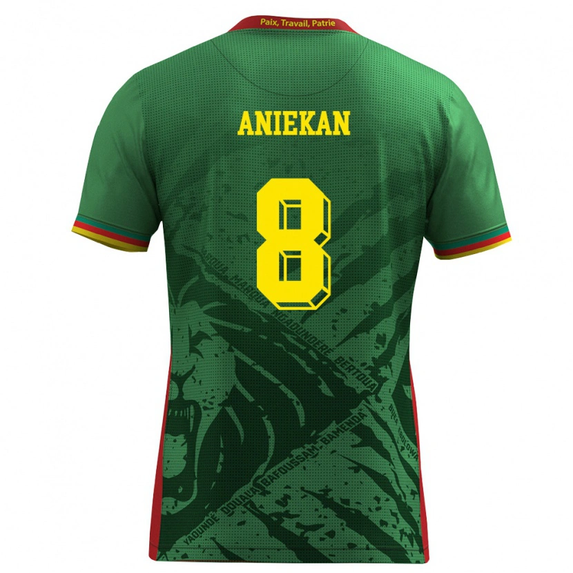 Danxen Kvinnor Kamerun Stephan Aniekan #8 Grön Gul Röd Hemmatröja Matchtröjor 26-28 Tröjor T-Tröja