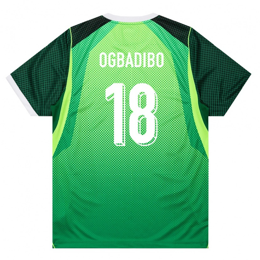 Danxen Barn Nigeria Tochukwu Ogbadibo #18 Grön Vit Hemmatröja Matchtröjor 26-28 Tröjor T-Tröja