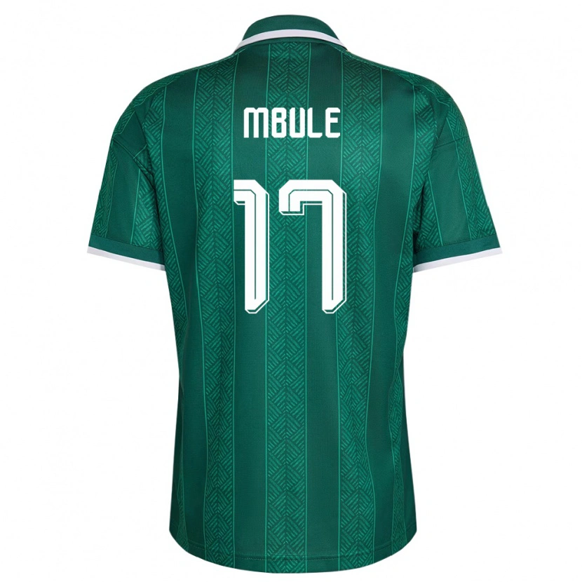 Danxen Barn Sydafrika Sipho Mbule #17 Grön Vit Guld Bortatröja Matchtröjor 26-28 Tröjor T-Tröja