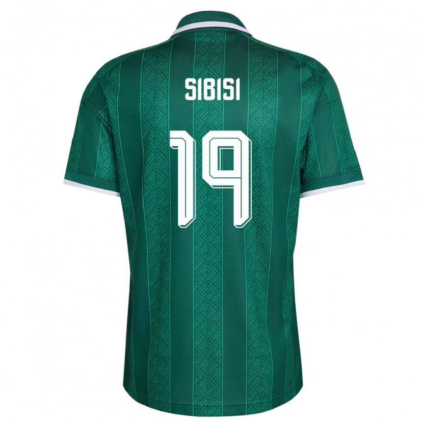 Danxen Barn Sydafrika Nkosinathi Sibisi #19 Grön Vit Guld Bortatröja Matchtröjor 26-28 Tröjor T-Tröja