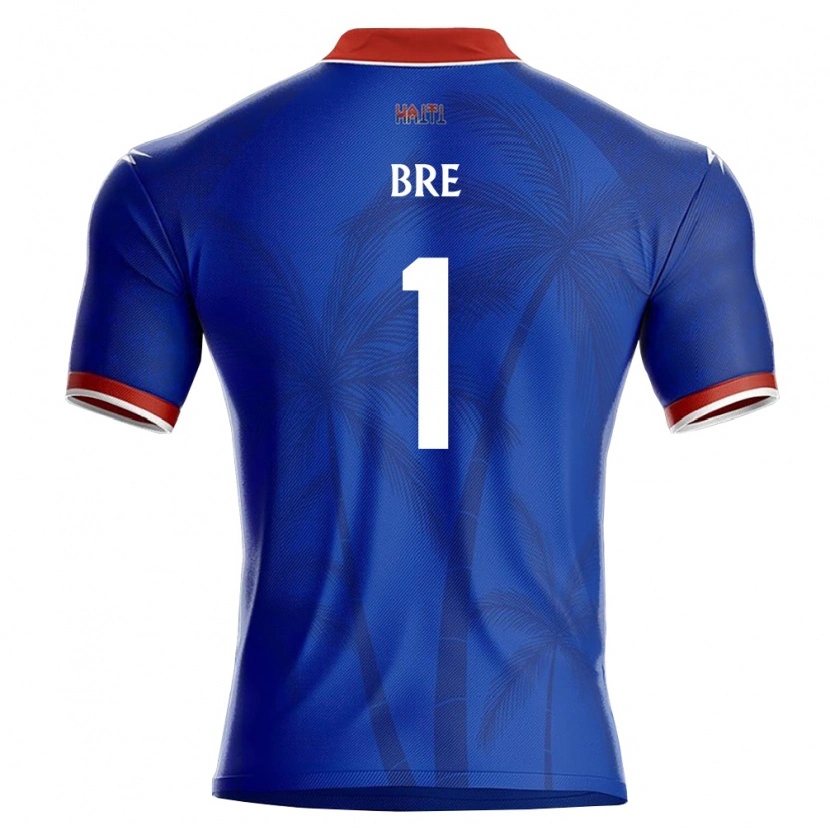 Danxen Män Haiti Carlos Bre #1 Blå Röd Vit Hemmatröja Matchtröjor 26-28 Tröjor T-Tröja