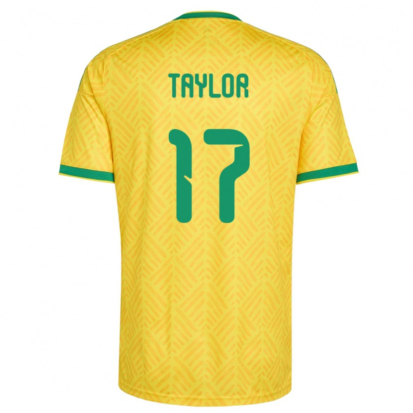 Danxen Män Sydafrika Joshua Taylor #17 Gul Grön Hemmatröja Matchtröjor 26-28 Tröjor T-Tröja