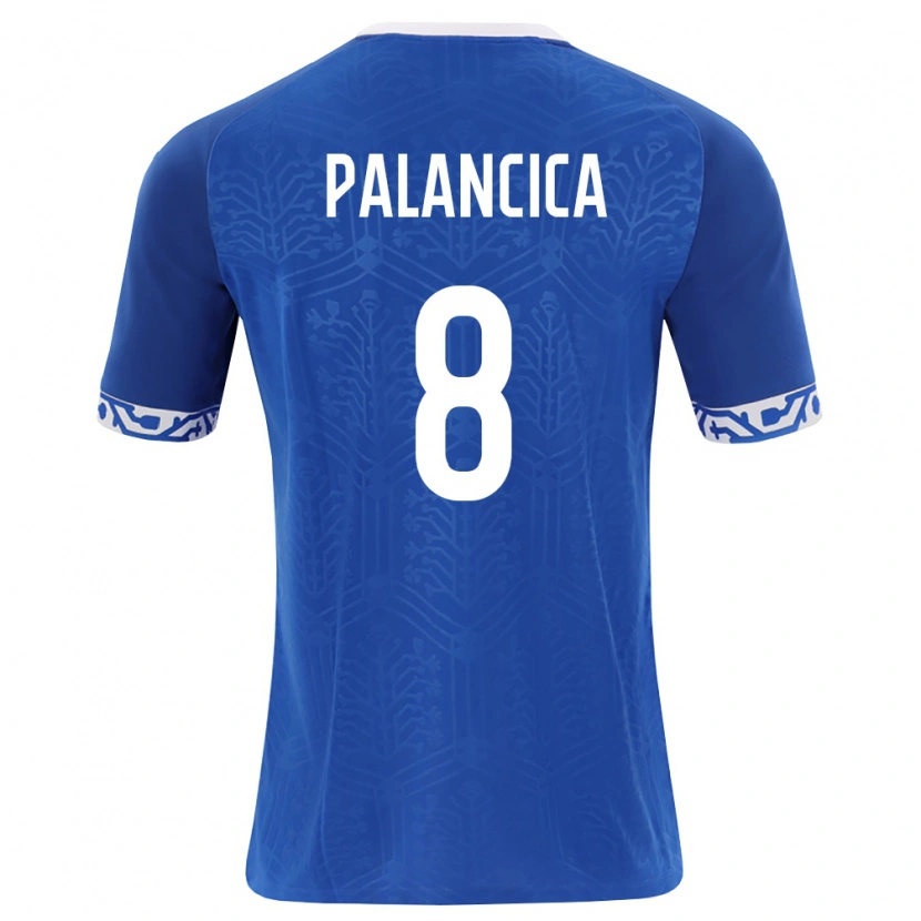 Danxen Män Moldavien Cristian Palancica #8 Kunglig Blå Vit Hemmatröja Matchtröjor 26-28 Tröjor T-Tröja