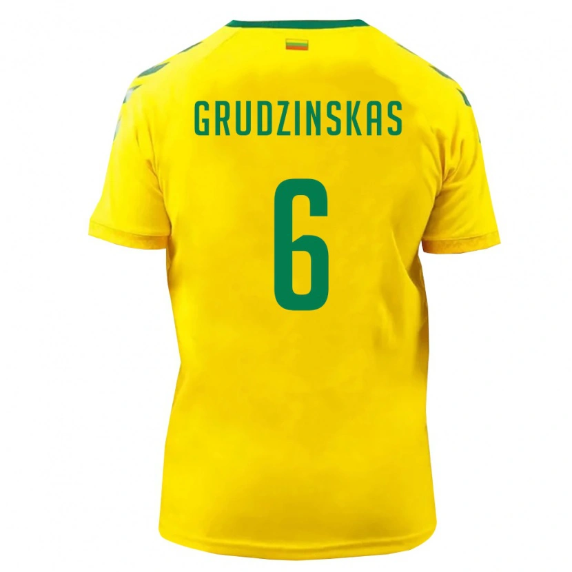 Danxen Män Litauen Dovas Grudzinskas #6 Gul Grön Hemmatröja Matchtröjor 26-28 Tröjor T-Tröja