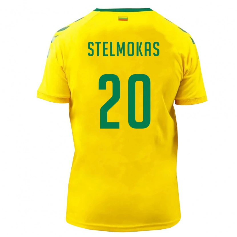 Danxen Män Litauen Tomas Stelmokas #20 Gul Grön Hemmatröja Matchtröjor 26-28 Tröjor T-Tröja