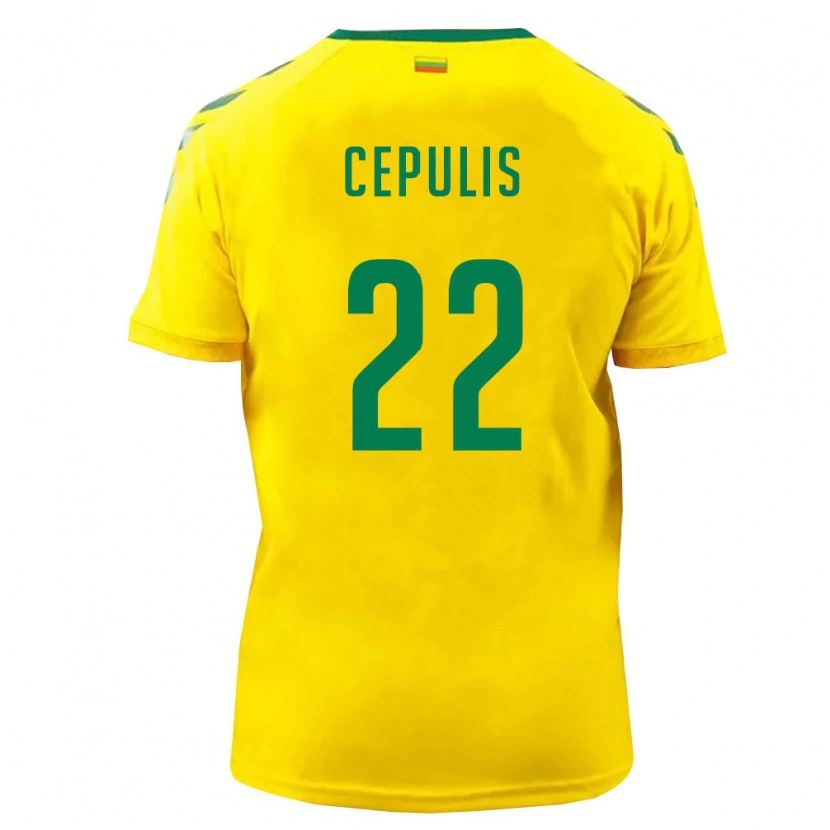 Danxen Män Litauen Kristupas Cepulis #22 Gul Grön Hemmatröja Matchtröjor 26-28 Tröjor T-Tröja