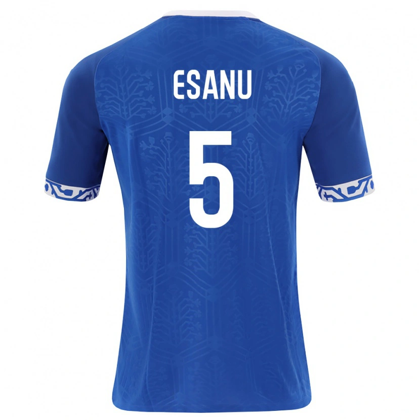 Danxen Kvinnor Moldavien Nicolos Esanu #5 Kunglig Blå Vit Hemmatröja Matchtröjor 26-28 Tröjor T-Tröja