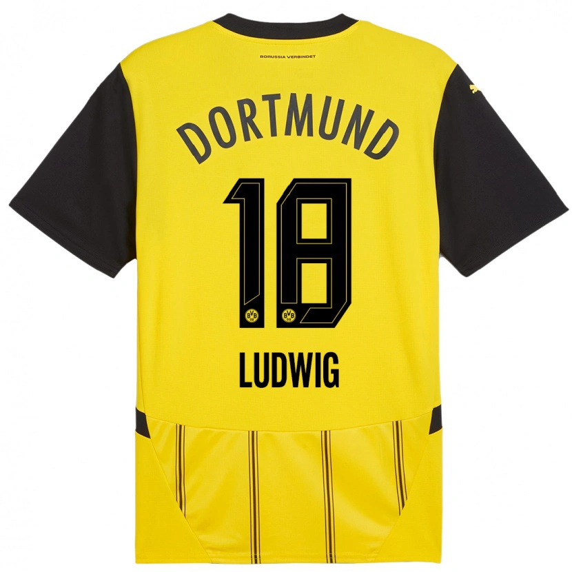 Danxen Män Michel Ludwig #18 Gul Svart Hemmatröja Matchtröjor 2024/25 Tröjor T-Tröja