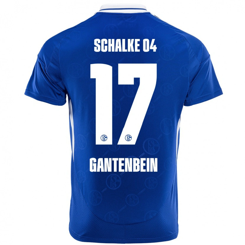 Danxen Män Adrian Gantenbein #17 Kungsblå Hemmatröja Matchtröjor 2024/25 Tröjor T-Tröja
