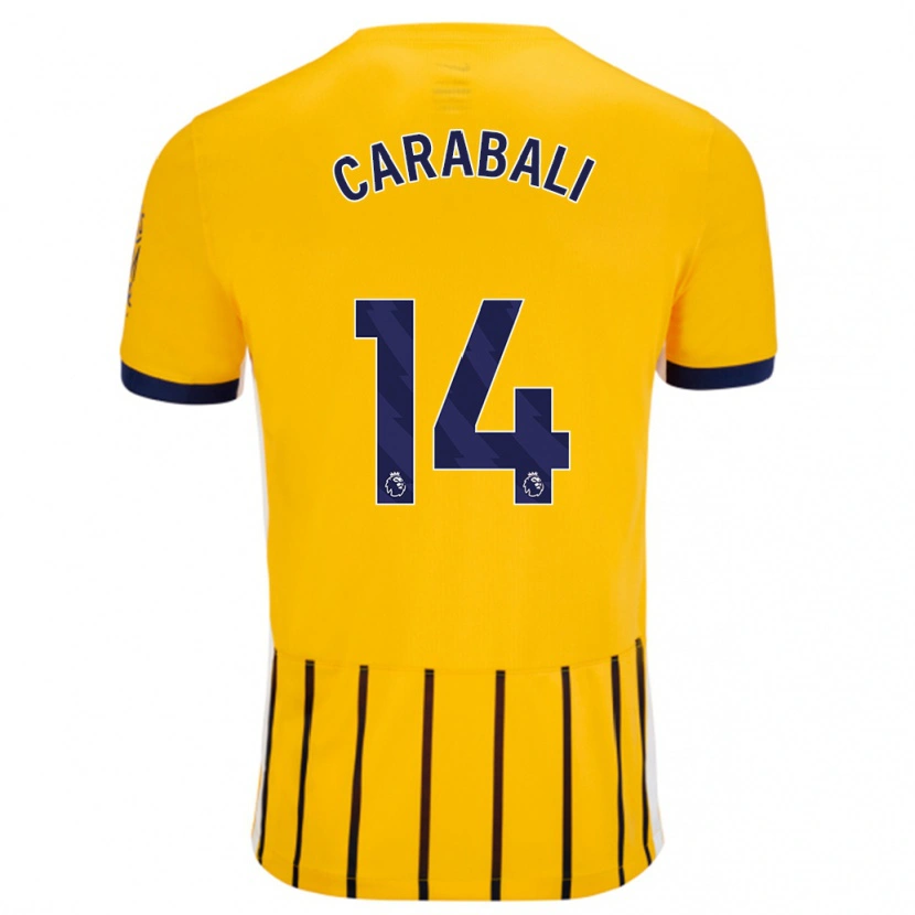 Danxen Män Jorelyn Carabalí #14 Guldblå Kritränder Bortatröja Matchtröjor 2024/25 Tröjor T-Tröja