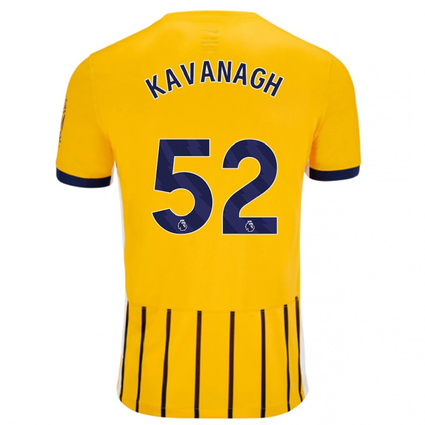 Danxen Kvinnor Leigh Kavanagh #52 Guldblå Kritränder Bortatröja Matchtröjor 2024/25 Tröjor T-Tröja