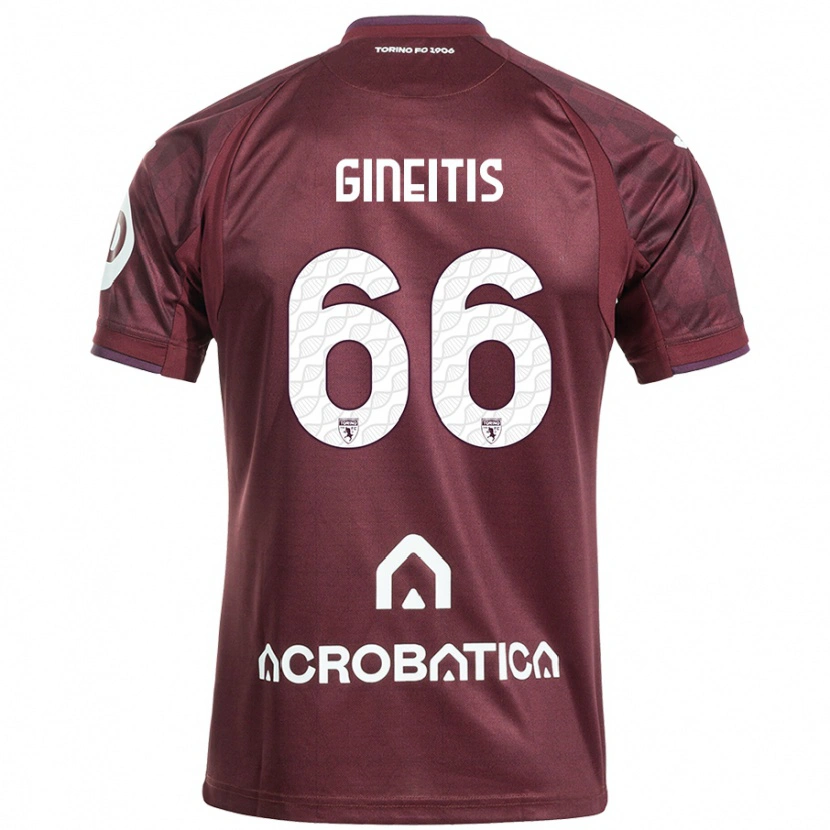 Danxen Kvinnor Gvidas Gineitis #66 Rödbrun Vit Hemmatröja Matchtröjor 2024/25 Tröjor T-Tröja