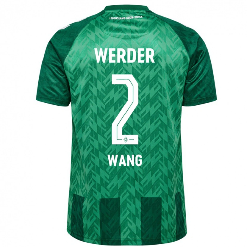 Danxen Barn Bowen Wang #2 Grön Hemmatröja Matchtröjor 2024/25 Tröjor T-Tröja