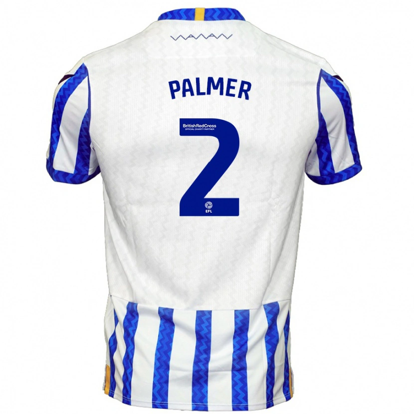 Danxen Män Liam Palmer #2 Blå Vit Hemmatröja Matchtröjor 2024/25 Tröjor T-Tröja