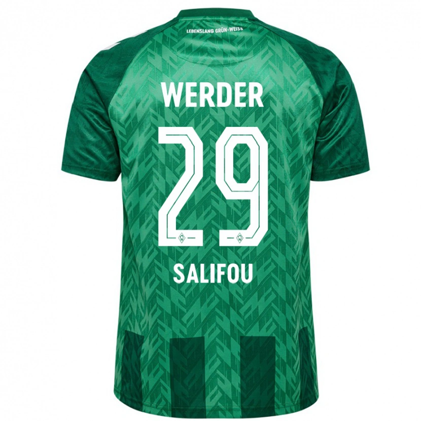 Danxen Män Dikeni Salifou #29 Grön Hemmatröja Matchtröjor 2024/25 Tröjor T-Tröja