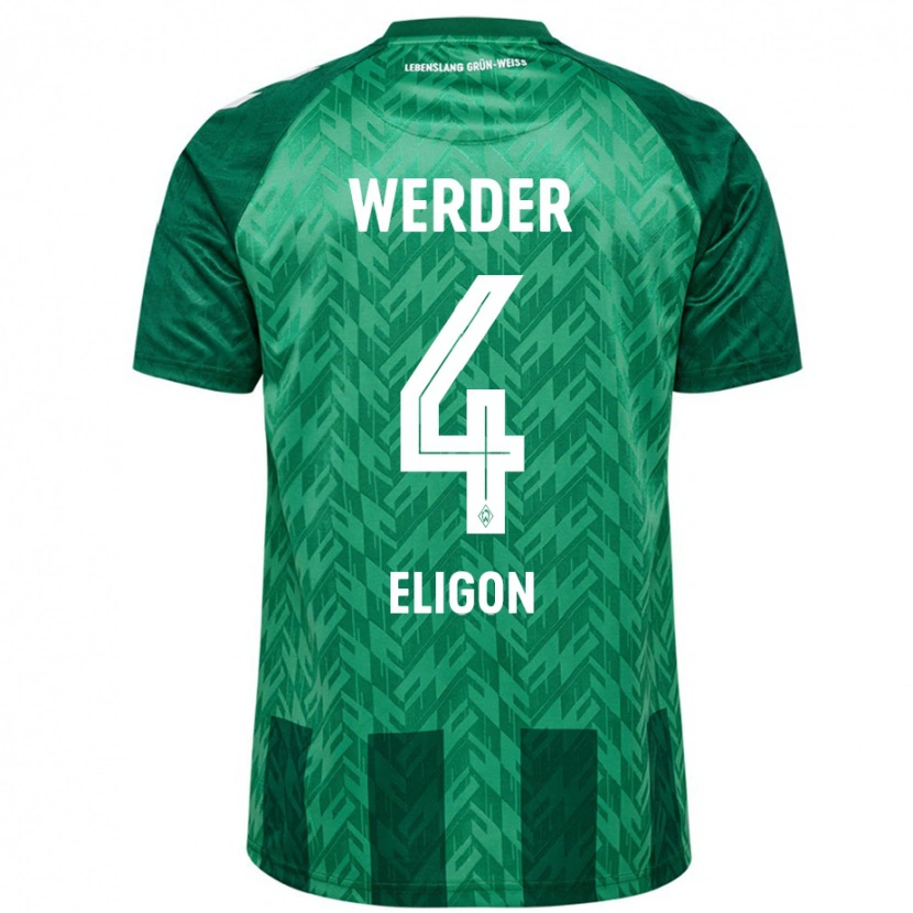 Danxen Kvinnor Kenneth Eligon #4 Grön Hemmatröja Matchtröjor 2024/25 Tröjor T-Tröja